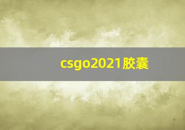 csgo2021胶囊