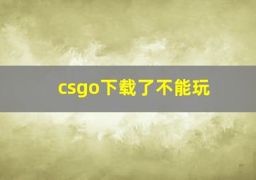 csgo下载了不能玩