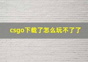 csgo下载了怎么玩不了了