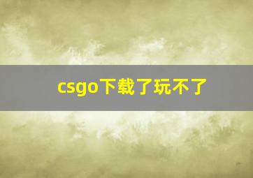 csgo下载了玩不了