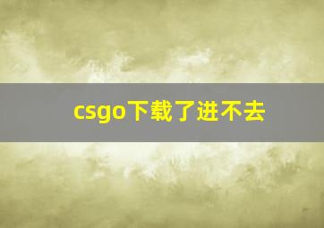 csgo下载了进不去