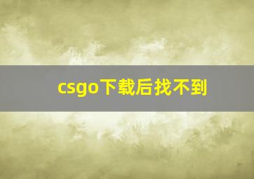 csgo下载后找不到