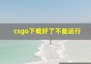 csgo下载好了不能运行