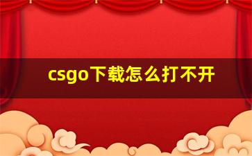 csgo下载怎么打不开