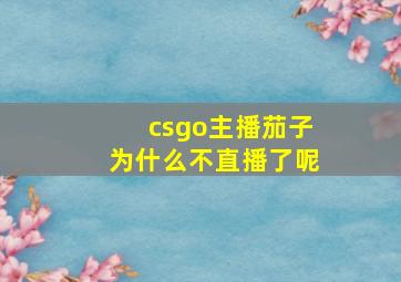 csgo主播茄子为什么不直播了呢