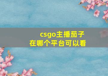 csgo主播茄子在哪个平台可以看