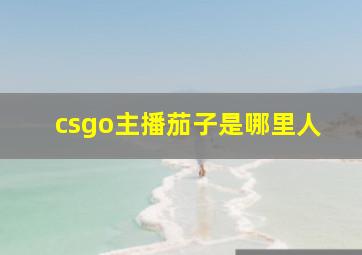 csgo主播茄子是哪里人