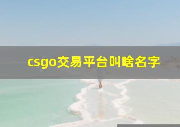 csgo交易平台叫啥名字