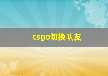 csgo切换队友