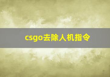 csgo去除人机指令