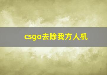 csgo去除我方人机