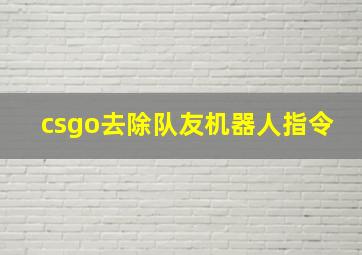 csgo去除队友机器人指令