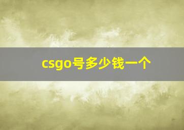 csgo号多少钱一个