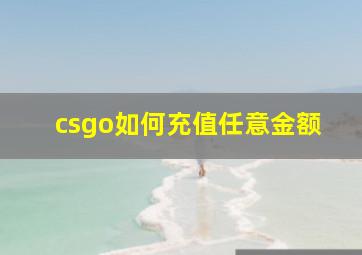 csgo如何充值任意金额