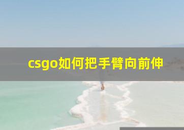 csgo如何把手臂向前伸