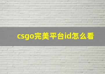 csgo完美平台id怎么看