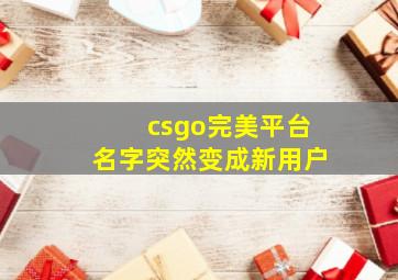 csgo完美平台名字突然变成新用户