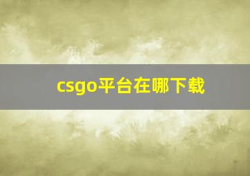 csgo平台在哪下载