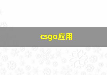 csgo应用