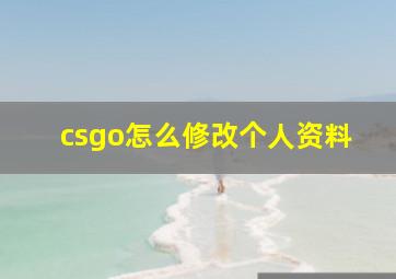 csgo怎么修改个人资料