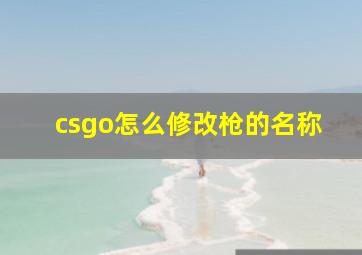 csgo怎么修改枪的名称