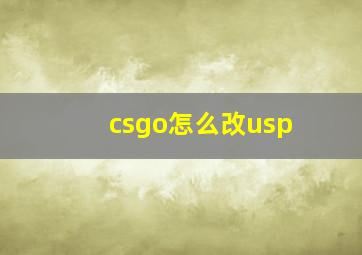 csgo怎么改usp