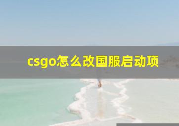 csgo怎么改国服启动项