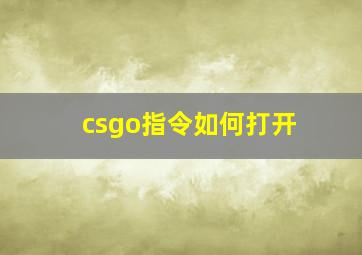 csgo指令如何打开