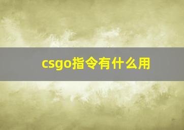 csgo指令有什么用