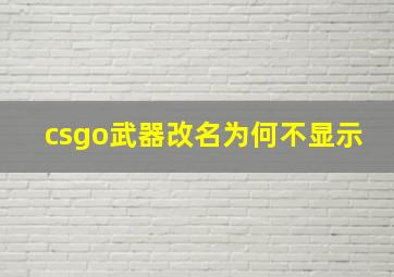 csgo武器改名为何不显示