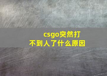 csgo突然打不到人了什么原因