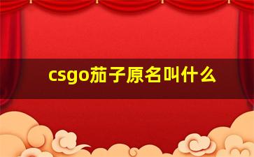 csgo茄子原名叫什么