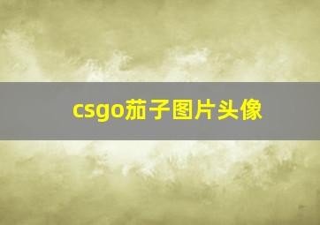 csgo茄子图片头像