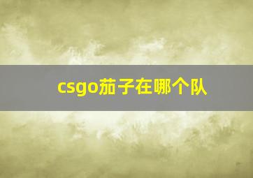 csgo茄子在哪个队