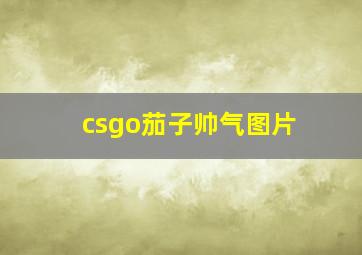 csgo茄子帅气图片