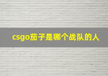 csgo茄子是哪个战队的人