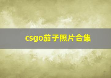 csgo茄子照片合集