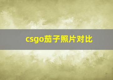 csgo茄子照片对比