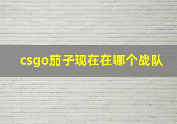 csgo茄子现在在哪个战队