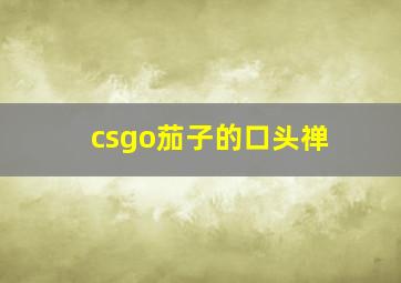 csgo茄子的口头禅