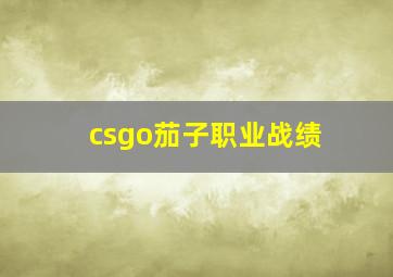 csgo茄子职业战绩