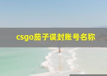 csgo茄子误封账号名称