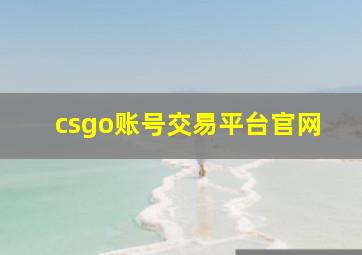 csgo账号交易平台官网