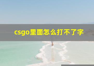 csgo里面怎么打不了字