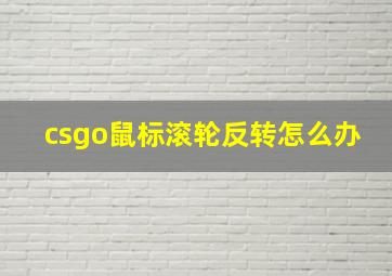 csgo鼠标滚轮反转怎么办