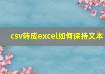 csv转成excel如何保持文本