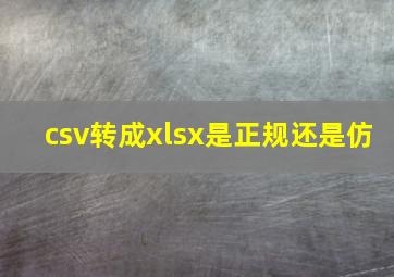 csv转成xlsx是正规还是仿