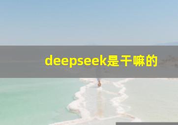 deepseek是干嘛的