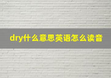 dry什么意思英语怎么读音