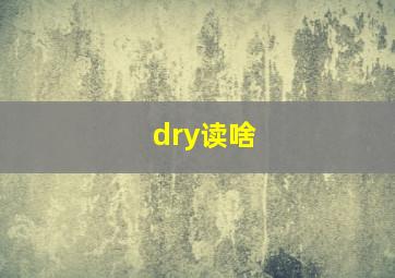 dry读啥